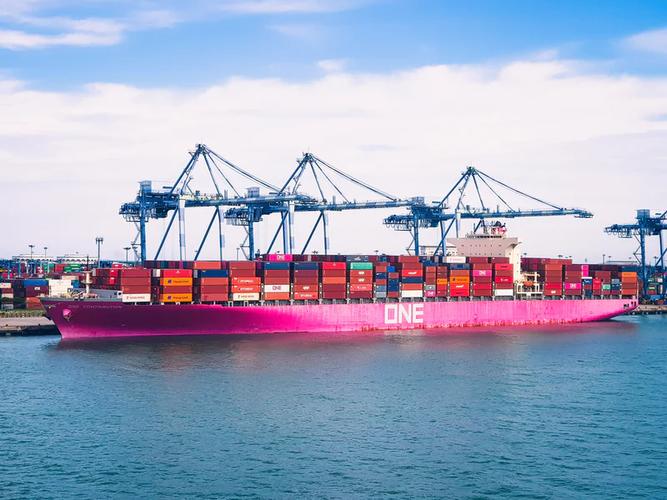 船舶租赁的替代策略 从租用到自有船队的转型之路